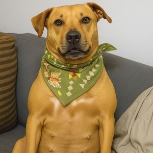 Boots & Barkley Green Dog Bandana NWT
